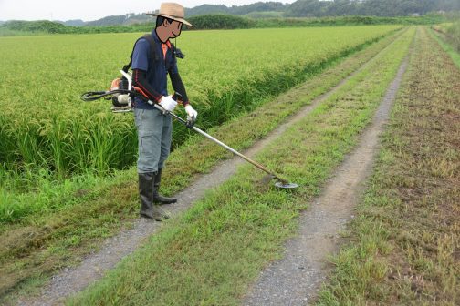 ほとんどは前もって行うスライドモアが刈ってしまいますけど農道の草刈り。