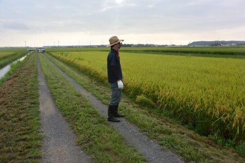 農用地の点検