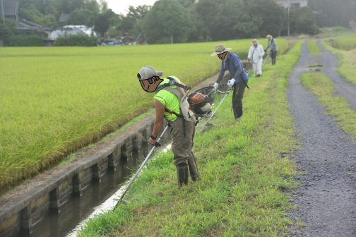 草刈りのほとんどは水路沿いになります。