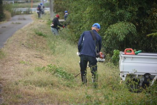 曇りのせもありますけど、これまでの暑い中の写真と比べてかなり寒々しいです。