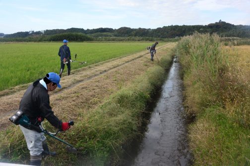 水路法面の草刈り。水路は機械が届かない部分が多いのでどうしてもそんな写真ばかりになってしまいます。