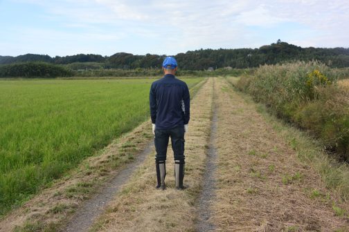 わざわざ点検と言わなくても農地はいわば毎日のように通う仕事場。日々見ていて気がつくものなので色々な背景で撮っておくのです。