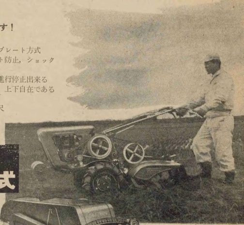 拡大します。当時は逆スラントノーズの尖った感じが好まれていたのですかね?