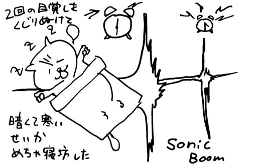 今日は寒くて暗くて気持ちよく寝ていたら、二重の目覚ましをくぐり抜け寝坊してしまいました。仕事もしなくちゃいけないので今日は内容ナシです。