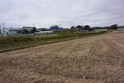 そして草が伸び過ぎてしまうと投げ入れられないので道路脇にゴミを置いて済まされてしまうという状態でした。