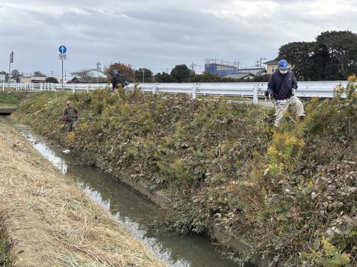 こちらは草を刈ると気持ちゴミが減ったような気もしますが、今度はなぜか道路を挟んで反対の歩道側にゴミが捨てられるという狂気です。