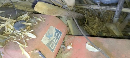 上のカバーをめくってくれたのですね!まさにバーンファインディングといった趣です。ロビンちゃんが姿を現しました。見た目ツバメのように見えますが調べてみるとロビンはコマドリを意味しているそうです。