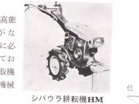 こんなに小さな写真でもあるとないでは大違い。番号だけでは心許なかった存在も、こんな写真でもあれば確かに存在したという安心感につながります。