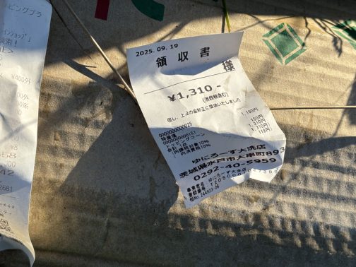 遅いお昼ご飯でしょうか2025. 09. 19
特盛塩
トッピングコーン