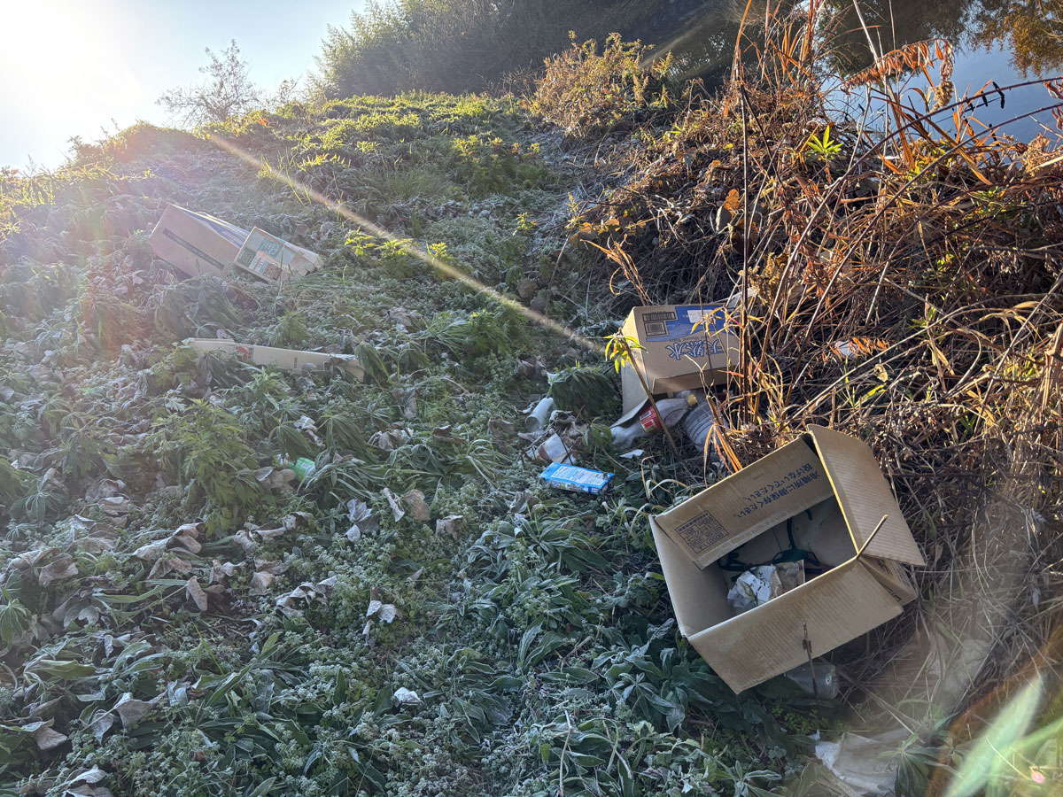 あまりなかったな・・・とすすんでいった先に「最近見ないな」と思っていたダンボール氏の作品が・・・