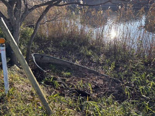 こういうどうしようもないものも捨てられていたりします。