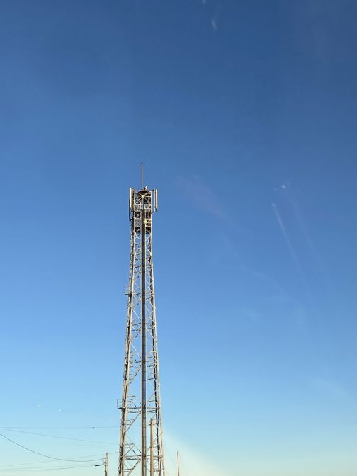 久々にコウノトリを見かけました。いつ以来でしょう・・・もう思い出せないくらい前です。