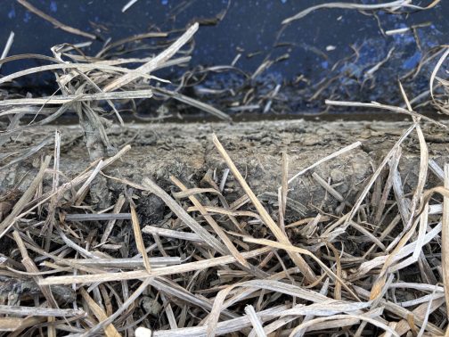 わかりにくいですが、柵板はこんな感じです。左端の方が鉄筋が出て錆びてきてしまっています。冒頭に「流れもないのに摩耗する」と書きましたけど、水に使っている部分はそんなに痛んでいないので、僕の感覚では空気に触れるところが劣化するのだと感じています。排水路ですのでいつも水を満々と満々と湛えている訳ではありません。排水すれば水は減るわけで1番上の柵板はいつも空気に触れています。そのせいで痛むのではないでしょうか？