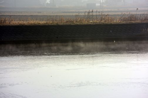 暖かいけれど川の水はもっと暖かいのでしょう。川面から湯気が立ち昇っています。