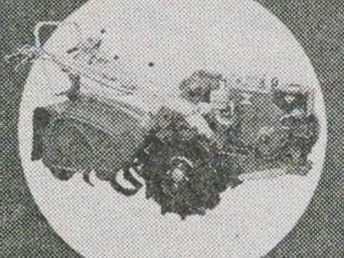 ぼんやりしすぎていて形もわかりませんが、オークションでも見つからないので仕方ありません。