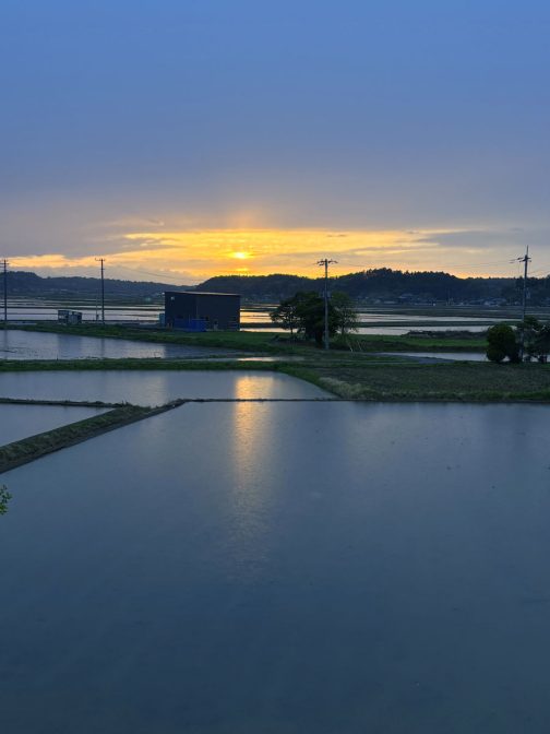 夕方は空の色を映して青から赤、紫へと刻々と色が変わります。