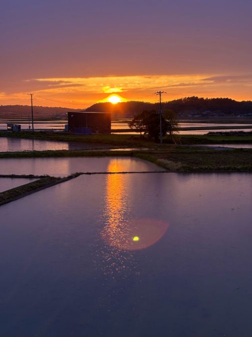 太陽が落ち切る寸前は赤