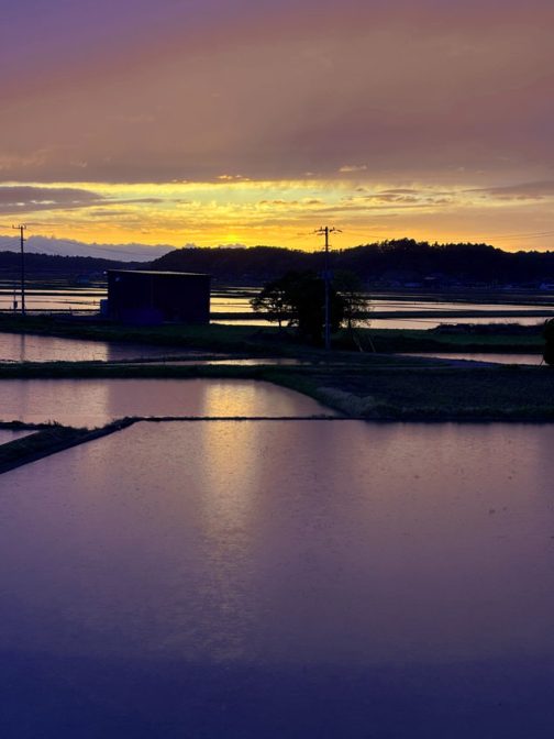 暗くなる直前は黄色と紺。