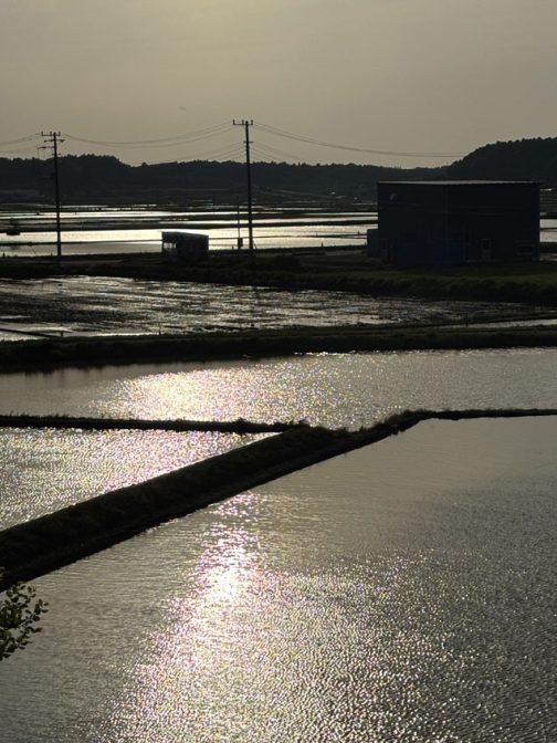 昼間はギラギラ、ピカピカしていますけど・・・
