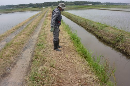 つまらない写真ですが、ないと困る点検写真。