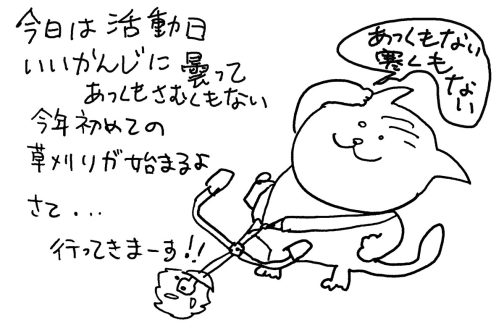 今日は活動日。いい感じに曇って暑くもなく寒くもないです。それでは行ってきまーす！