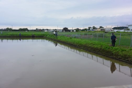 池の周りをぐるっと一回りして今度は排水機場へ向かいます。最後に水路脇を刈りながら集合場所へ戻ります。