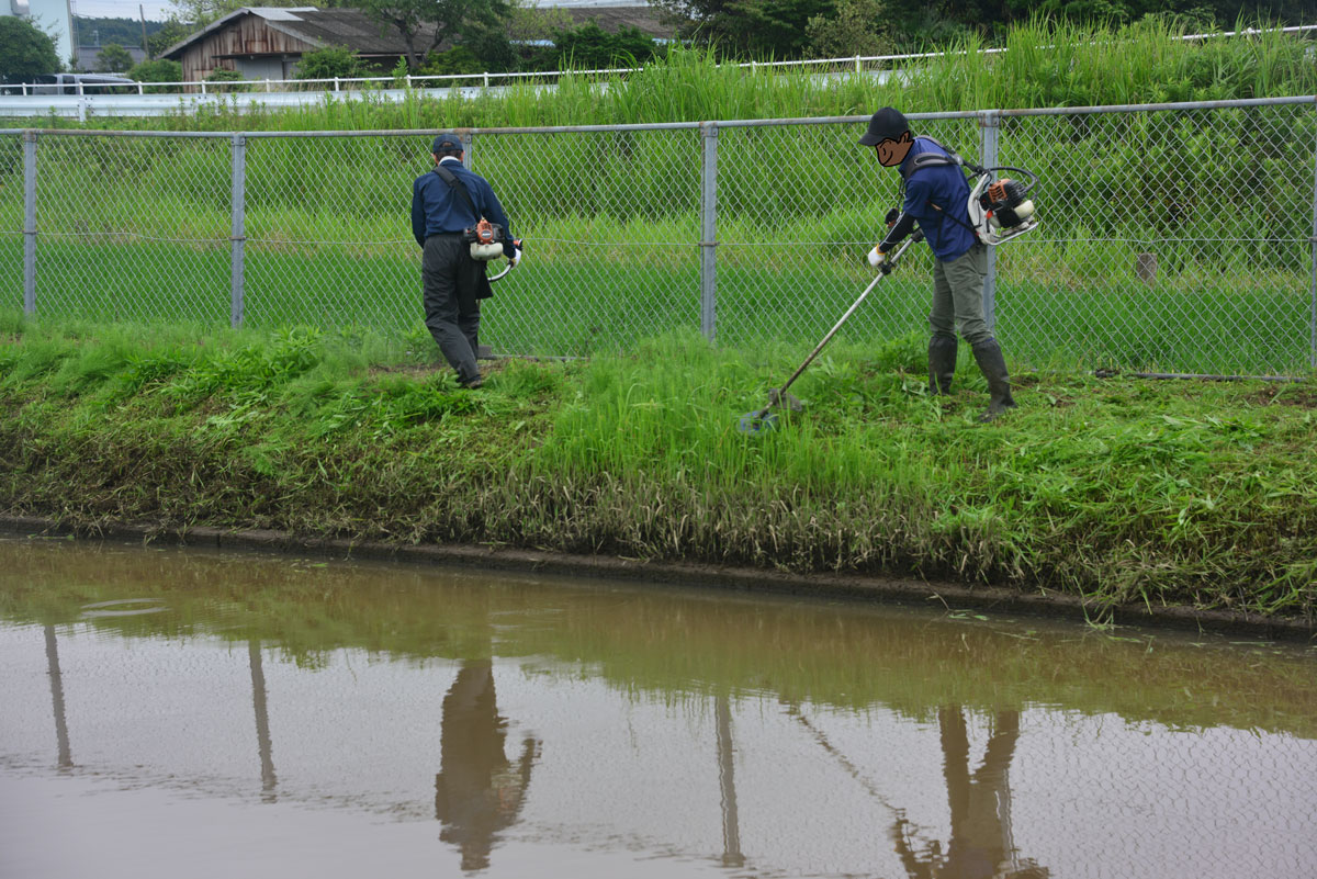 水路周りを刈ると今度は揚水機場へ移動します。