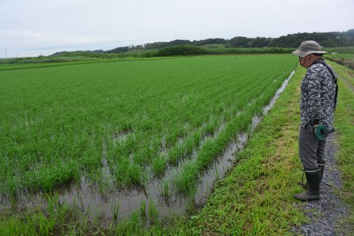 農用地の点検写真。