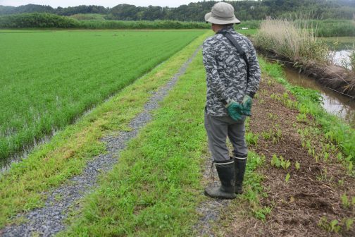 農道の点検写真。