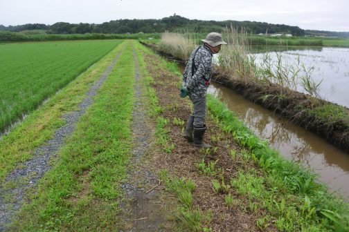その後南に向かい動画のような排水路沿いの法面を刈っていきます。ここでは点検写真を撮ります。こういう写真は何枚あってもいいです。