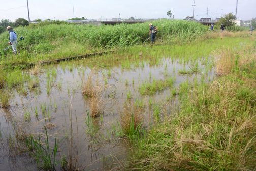 まずは農用地法面から草刈りを始めます。