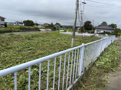 あちこちすっかり綺麗になりました。