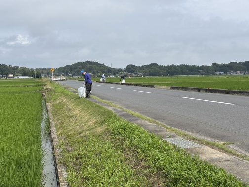 続いてゴミ拾いです。いつもより気持ち少なめかなぁ（とはいえ全部で10袋は超えていると思いますけど）という印象です。