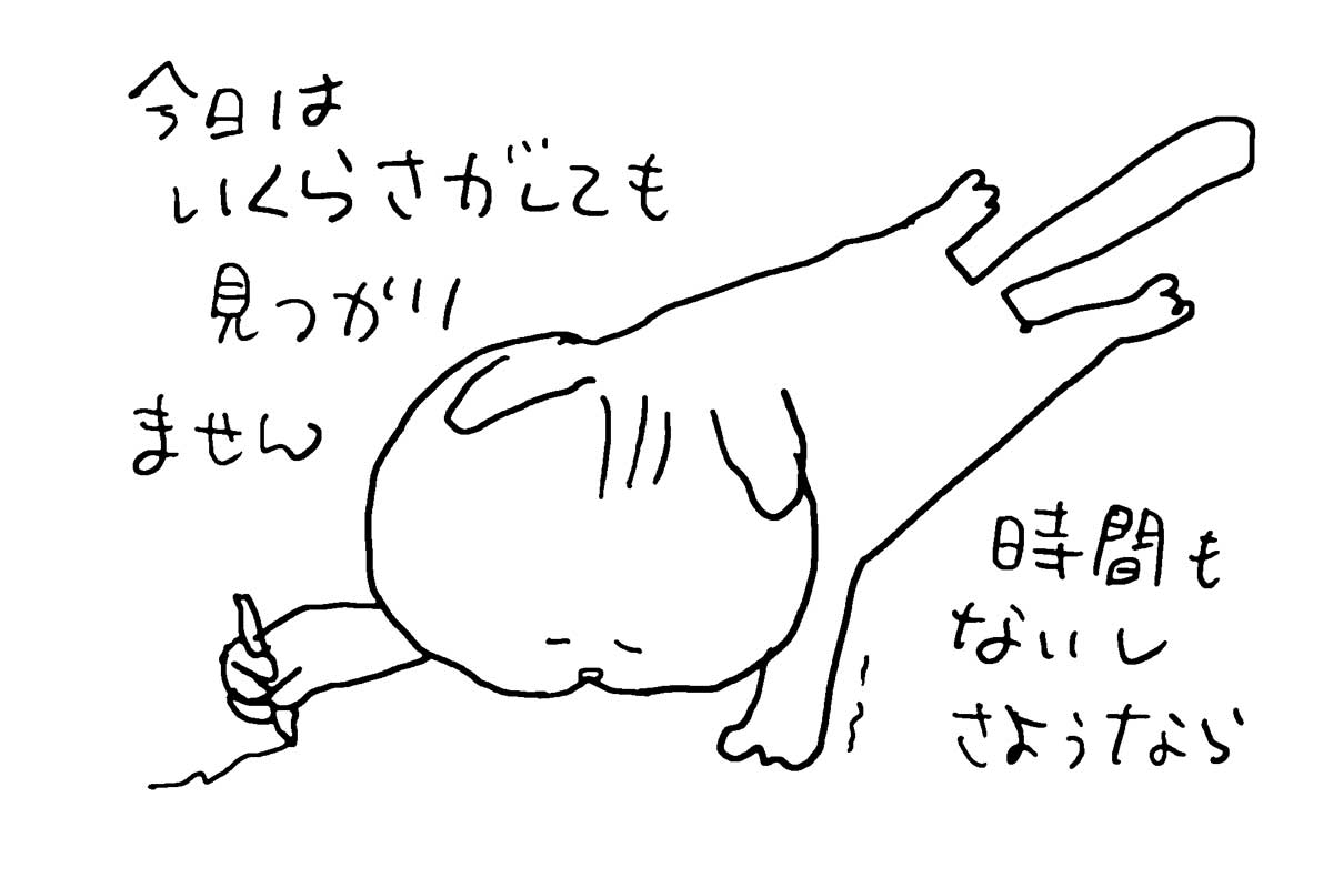今朝は何も見つかりません。かすりもしないです。時間もないのでここでさようなら