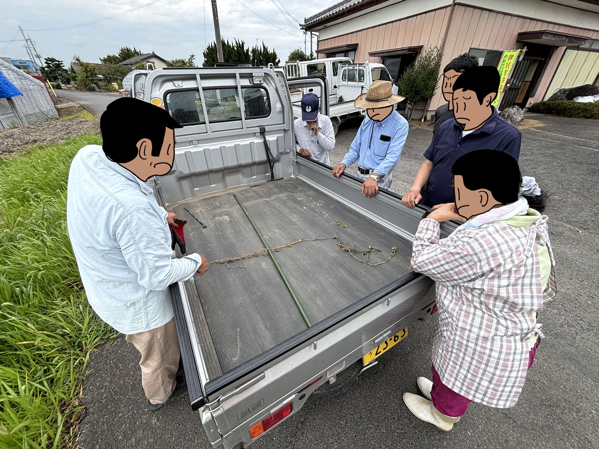 たまたま通りかかった軽トラのおじさんが実物を見せてくれました。