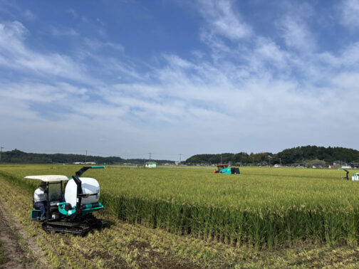 これまで稲刈りといえば秋のイメージでしたが、もはやその印象は「暑い」に変わりつつあります。